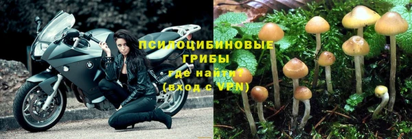 mdpv Горняк