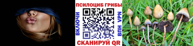 Галлюциногенные грибы GOLDEN TEACHER  Купить  Мантурово 